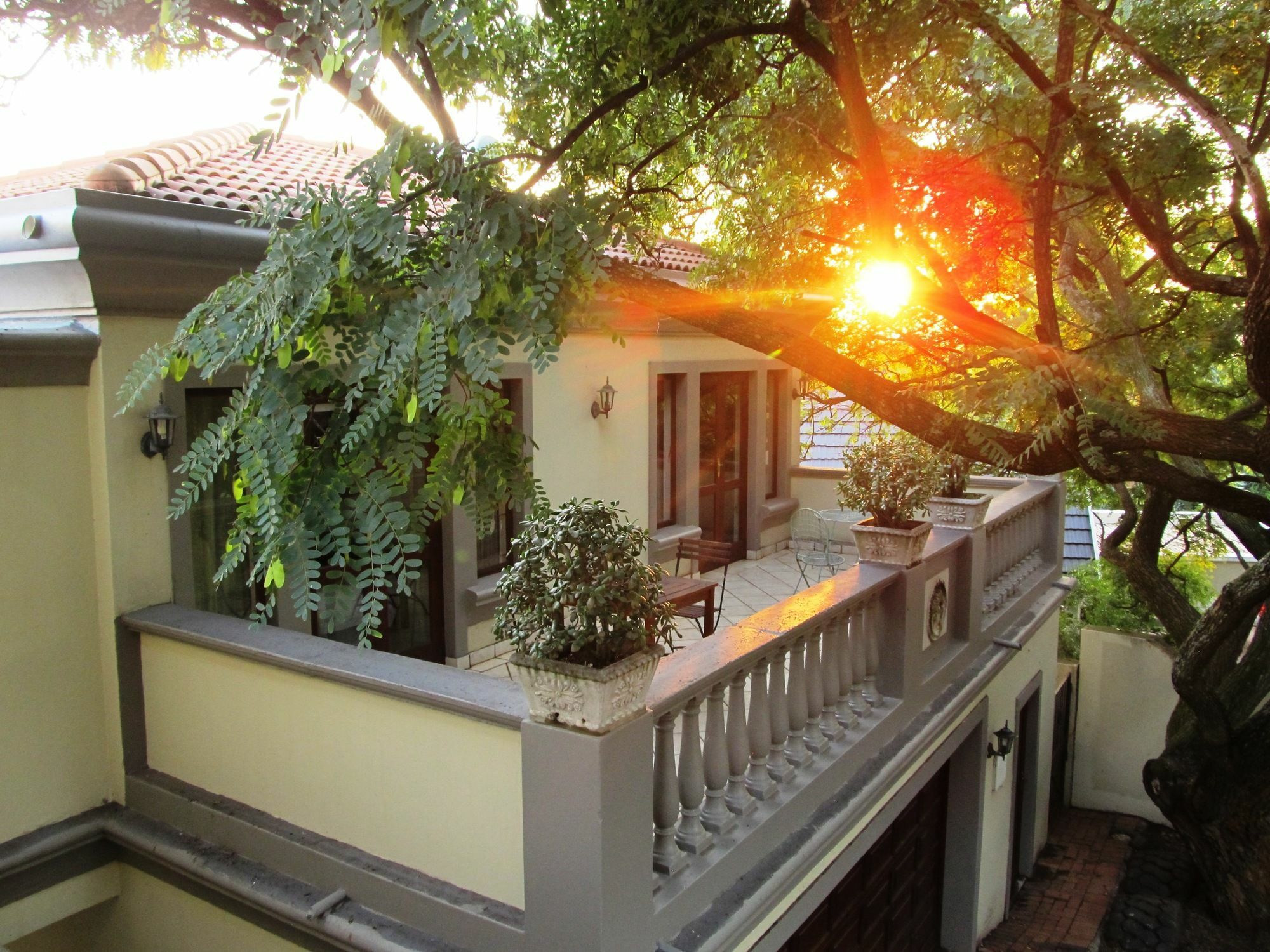 יוהנסבורג Villa Lugano Guesthouse מראה חיצוני תמונה